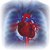 Heart Disease Heart attack  and CVD in Diabetes
